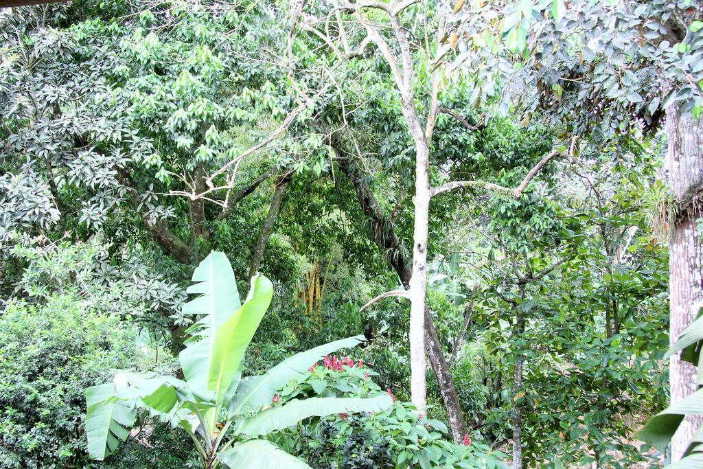 Hotel Monte Real La Fortuna Bagian luar foto